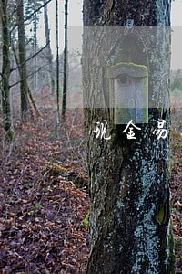 现金易逾期多久 现金易逾期多久