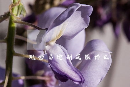 现金易逾期还能借么 现金易逾期还能借么