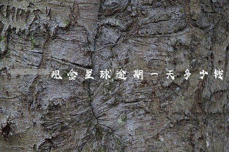 现金星球逾期一天多少钱