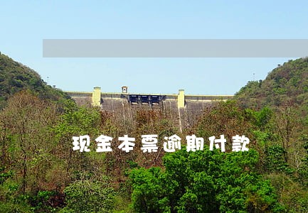 现金本票逾期付款 现金本票逾期付款