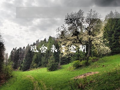 现金来了逾期 现金来了逾期