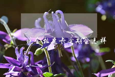 现金极速卡逾期会怎样 现金极速卡逾期会怎样