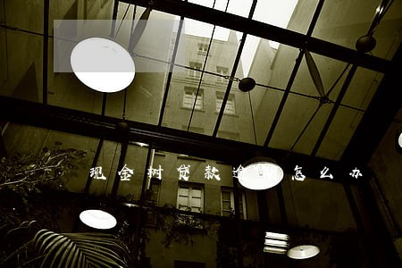 现金树贷款逾期怎么办 现金树贷款逾期怎么办
