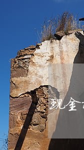 现金树逾期了 现金树逾期了