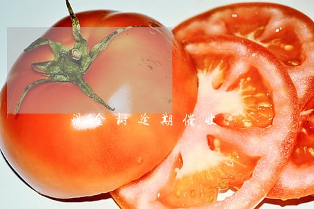 现金树逾期催收 现金树逾期催收