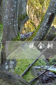 现金树逾期多久催收 现金树逾期多久催收