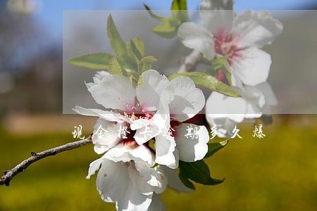 现金橙卡逾期多久爆 现金橙卡逾期多久爆