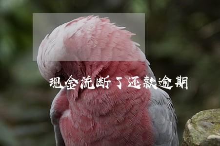 现金流断了还款逾期 现金流断了还款逾期
