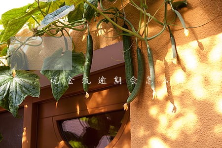 现金流逾期会怎么样 现金流逾期会怎么样