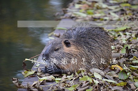 现金流逾期怎么处理 现金流逾期怎么处理