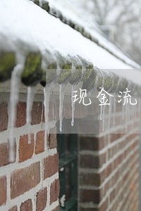 现金流量表中支付法院扣款