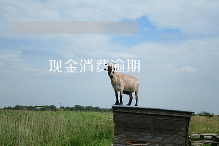 现金消费逾期 现金消费逾期