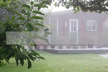 现金消费逾期会怎么样 现金消费逾期会怎么样
