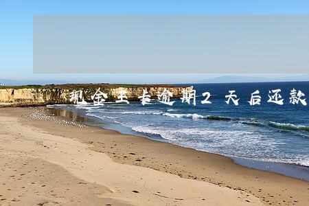 现金王卡逾期2天后还款 现金王卡逾期2天后还款
