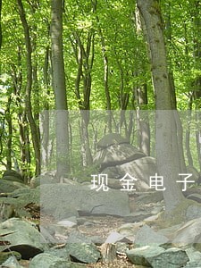 现金电子分期卡逾期 现金电子分期卡逾期