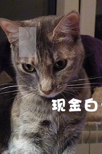 现金白卡1500逾期一年 现金白卡1500逾期一年
