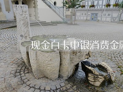 现金白卡中银消费金融逾期费用 现金白卡中银消费金融逾期费用