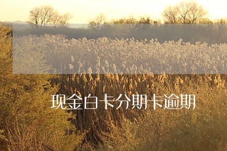 现金白卡分期卡逾期 现金白卡分期卡逾期