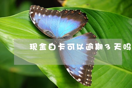 现金白卡可以逾期3天吗