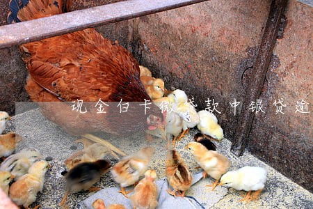 现金白卡微贷款中银贷逾期 现金白卡微贷款中银贷逾期