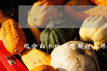 现金白卡怡借逾期会怎样