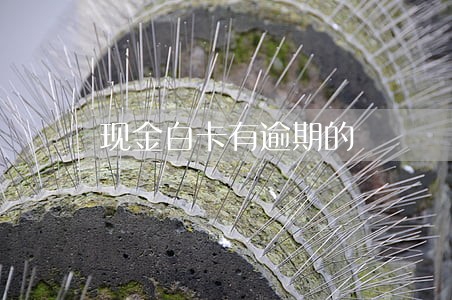 现金白卡有逾期的 现金白卡有逾期的