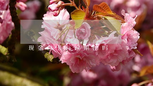 现金白卡有逾期的吗 现金白卡有逾期的吗