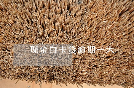 现金白卡贷逾期一天 现金白卡贷逾期一天