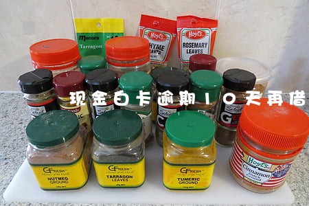 现金白卡逾期10天再借 现金白卡逾期10天再借