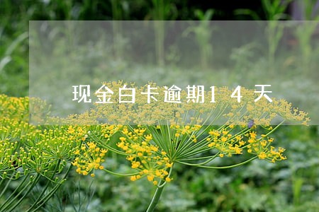现金白卡逾期14天 现金白卡逾期14天