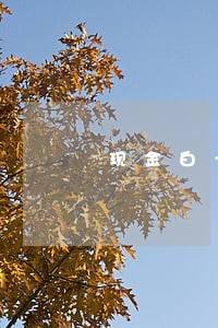 现金白卡逾期1一个月 现金白卡逾期1一个月
