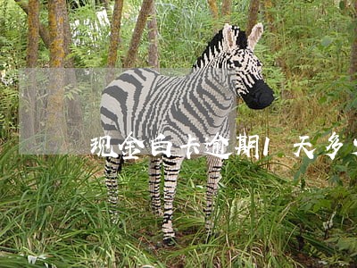 现金白卡逾期1天多少钱 现金白卡逾期1天多少钱