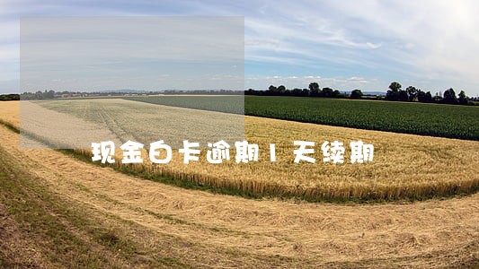 现金白卡逾期1天续期 现金白卡逾期1天续期