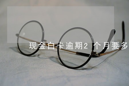 现金白卡逾期2个月要多少钱 现金白卡逾期2个月要多少钱