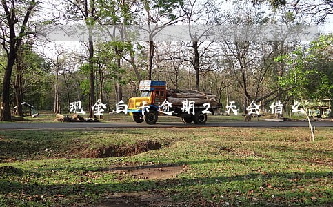 现金白卡逾期2天会借么 现金白卡逾期2天会借么