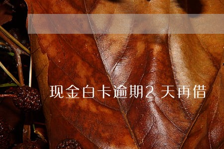 现金白卡逾期2天再借 现金白卡逾期2天再借