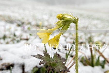 现金白卡逾期3天有事么 现金白卡逾期3天有事么