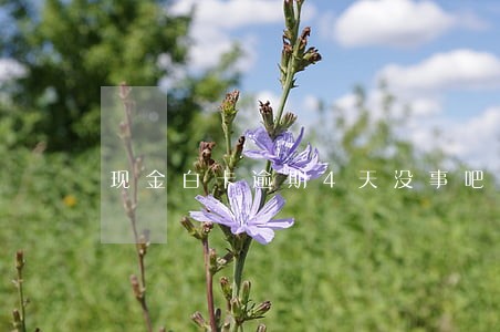 现金白卡逾期4天没事吧 现金白卡逾期4天没事吧