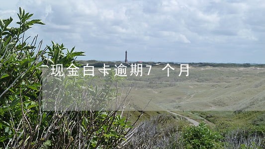 现金白卡逾期7个月 现金白卡逾期7个月