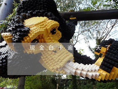 现金白卡逾期9天了 现金白卡逾期9天了