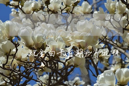 现金白卡逾期一个礼拜 现金白卡逾期一个礼拜