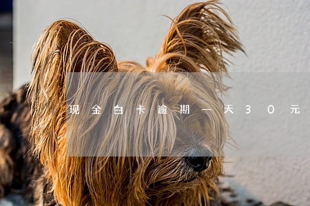 现金白卡逾期一天30元 现金白卡逾期一天30元