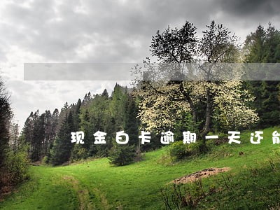 现金白卡逾期一天还能再借吗 现金白卡逾期一天还能再借吗