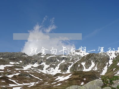 现金白卡逾期一年利息