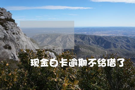 现金白卡逾期不给借了