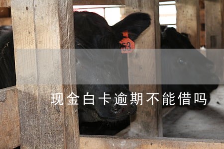 现金白卡逾期不能借吗 现金白卡逾期不能借吗
