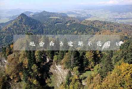 现金白卡逾期不还可以 现金白卡逾期不还可以