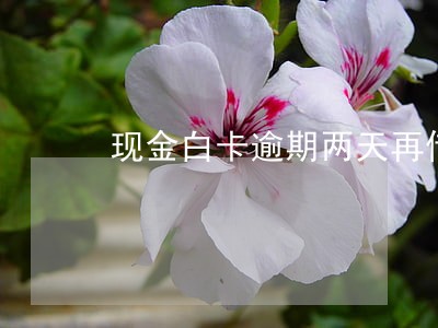 现金白卡逾期两天再借 现金白卡逾期两天再借