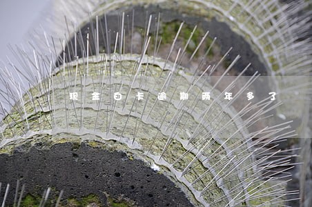 现金白卡逾期两年多了 现金白卡逾期两年多了