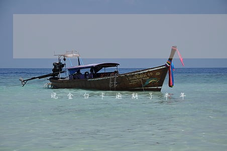 现金白卡逾期了半年 现金白卡逾期了半年